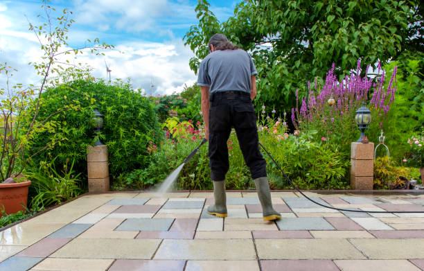 Best Soft Washing for Delicate Surfaces in North Tonawanda, NY